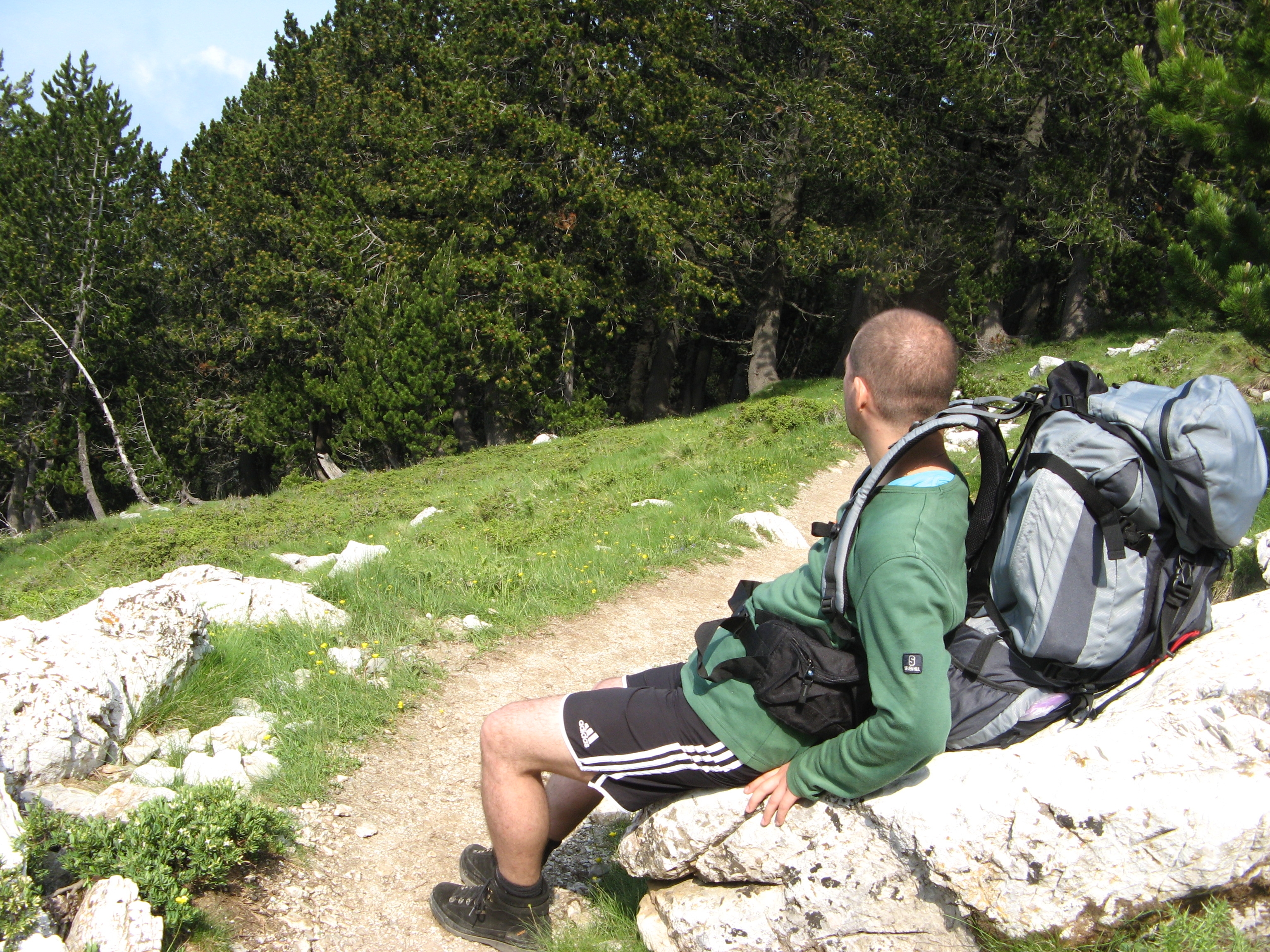 urcus iesire din padure