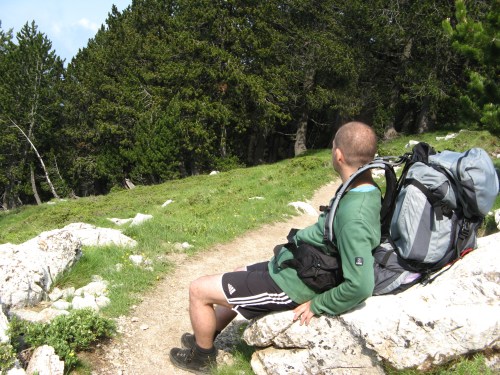 urcus iesire din padure urcus iesire din padure