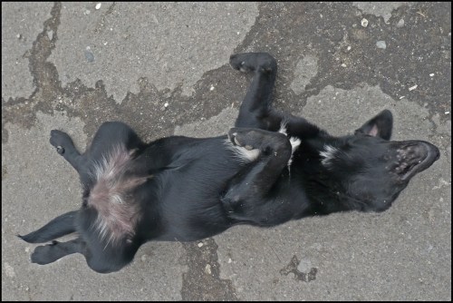 Sluj pe orizontală_ SorinStanciu