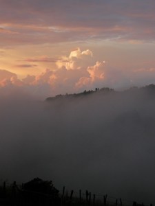 Fotografie făcută în Muntii Apuseni de Liana Oprea
