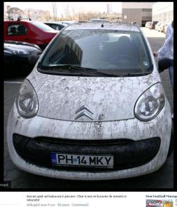 Masina Mihaelei Barbu. Fotografie de pe facebook