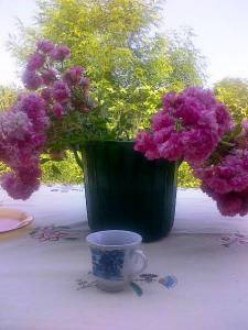 Buchet de flori, cu imaginea unui salcâm tânãr între ele, la Budisteni. FOTO (cu telefonul): Calin Hera