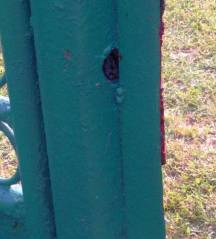 Budişteni. Ţeava în care a crescut cuibul de viespi. FOTO (cu telefonul): Călin Hera