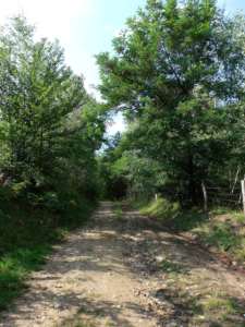 GEDSC DIGITAL CAMERA