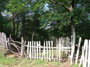 GEDSC DIGITAL CAMERA