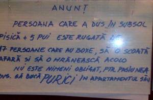 Anunţ veritabil de la avizierul unui bloc din Bucureşti. FOTO (cu telefonul): Călin Hera