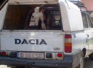 Capră în portbagajul unei Dacii "Papuc" - contribuţie la MFR. FOTO: Călin Hera