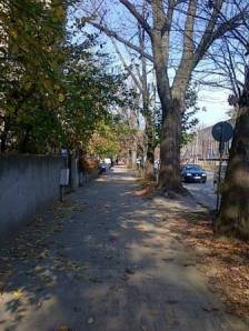 1004549_10200806059297028_910816713_n