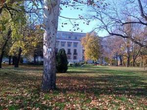 1382316_10200806062377105_268240356_n