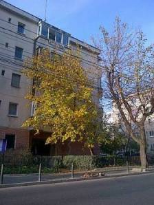 1395336_10200806010175800_122827447_n