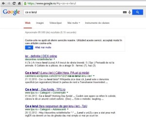 Ce arată Google dacă îl întrebi ce e lerul?