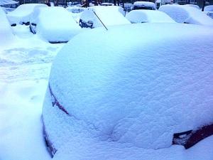 Bucureşti-20140127-01126