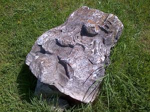 Ulpia Traiana Sarmizegetusa rămâne o demonstrație de inginerie și civilizație romană și un loc în care poți petrece trei ore plăcute și folositoare. Foto cu telefonul Călin Hera