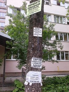 Un copac chinuit de avântul publicitar al micului întrerprinzător din Sectorul 3. Foto: Călin Hera (cu telefonul)