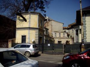 Copac cu personalitate văzut de Marius Tudor