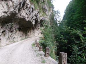 Drumeag pe sub stânci în Cheile Olteţului. Foto: Călin Hera