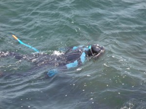 Vedere de la mare. Ce-o fi căutat acest scafandru? Foto: Călin Hera