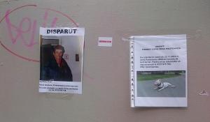 Vedere din Bucureşti. S-au pierdut un om şi-un câine. Foto (cu telefonul): Călin Hera (mfc)