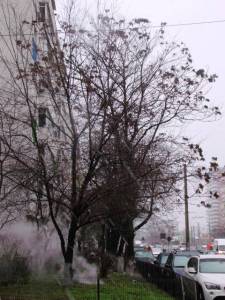 Vedere din Bucureşti. Soarele nu s-a mai arătat de 30 de zile. Foto: Călin Hera