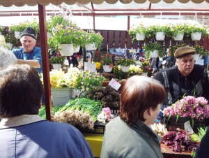 Vedere din Bucureşti. La Piaţa Râmnicu Sărat, înainte de Paşte. Foto: Călin Hera (cu telefonul)