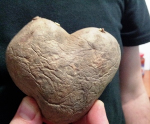 Cartoful ciudat, mare cât inima mea (foto cu telefonul mfc)