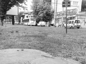 Vedere din București. Alb-negru cu un fost copac din fața UEFS. Foto cu telefonul: Căliln Hera