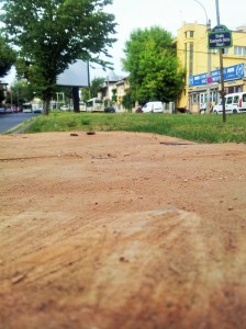 Vedere din București. Imaginea fără cuvinte a unui fost copac din fața UEFS. Foto cu telefonul: Călin Hera