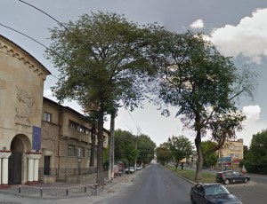 Vedere din București. Imagine de la intrarea în UEFS realizată pe vremea când copacul dintre benzile de circulație era în picioare, fain-frumos și deloc uscat. Sursa: Google Street View