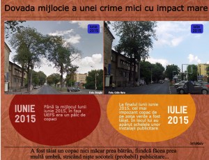 Două diferențe între fotografiile din acest infograf: în a doua, copacul a lăsat locul unor panouri publicitare. Sursa: InfoNaiv