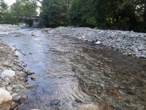Râu de munte. Foto: Călin Hera