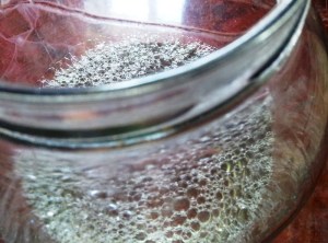 Peisaj într-un borcan. Foto cu telefonul: Călin Hera