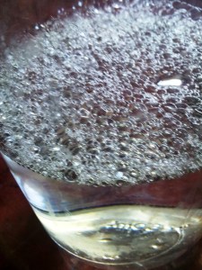 Peisaj într-un borcan. Foto cu telefonul: Călin Hera