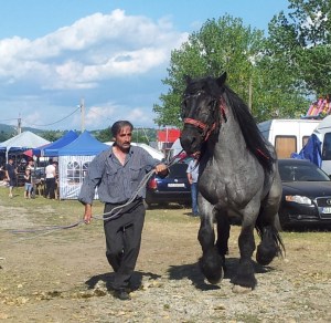 Cal bulonez prezentat cu mândrie în Bâlciul Polovragi. Foto cu telefonul: Călin Hera