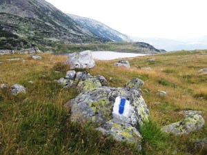 Munții Retezat. Marcaj bandă albastră lângă lacul Bucura. Foto cu telefonul: Călin Hera