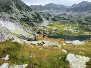 Munții Retezat. Cai pe-un picior de plai, pe-o gură de Rai. Lângă lacul Bucura, sub Curmătură. Foto cu telefonul: Călin Hera