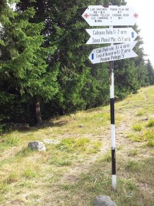 Munții Retezat. Indicatoare turistice la Poiana Pelegii. Foto cu telefonul: Călin Hera