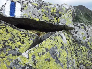 Munții Retezat. Marcaj bandă albastră, care duce la Cabana Pietrele. Foto cu telefonul: Călin Hera