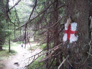 Munții Retezat. Marcaj cruce roșie în pădure, lângă Poaiana Pelegii. Foto cu telefonul: Călin Hera