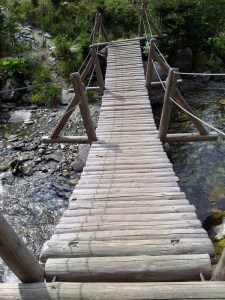 Munții Retezat. Pod peste apa Pelegii. Foto cu telefonul: Călin Hera