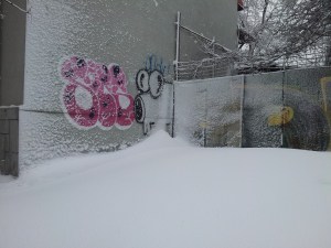 Vedere din București. Aeul înzăpezit. Foto: Călin Hera