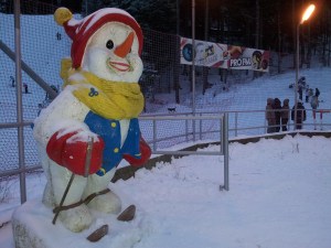 busteni kalinderu (3)