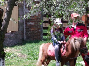 Cal călărit pe domeniul boierilor Golescu din Ștefănești, Argeș. Foto: Călin Hera