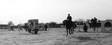 Regatul Cailor Sărbătoare ecvestră la Regatul Cailor, acolo unde anul trecut avea lic Balcaniada. Foto: Calin Hera, 2016 (MfC)