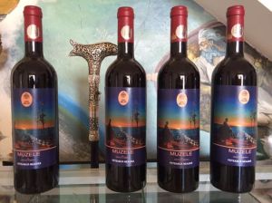 Colecția „Muzele by Zoltan Lorencz”. Sursa: Facebook